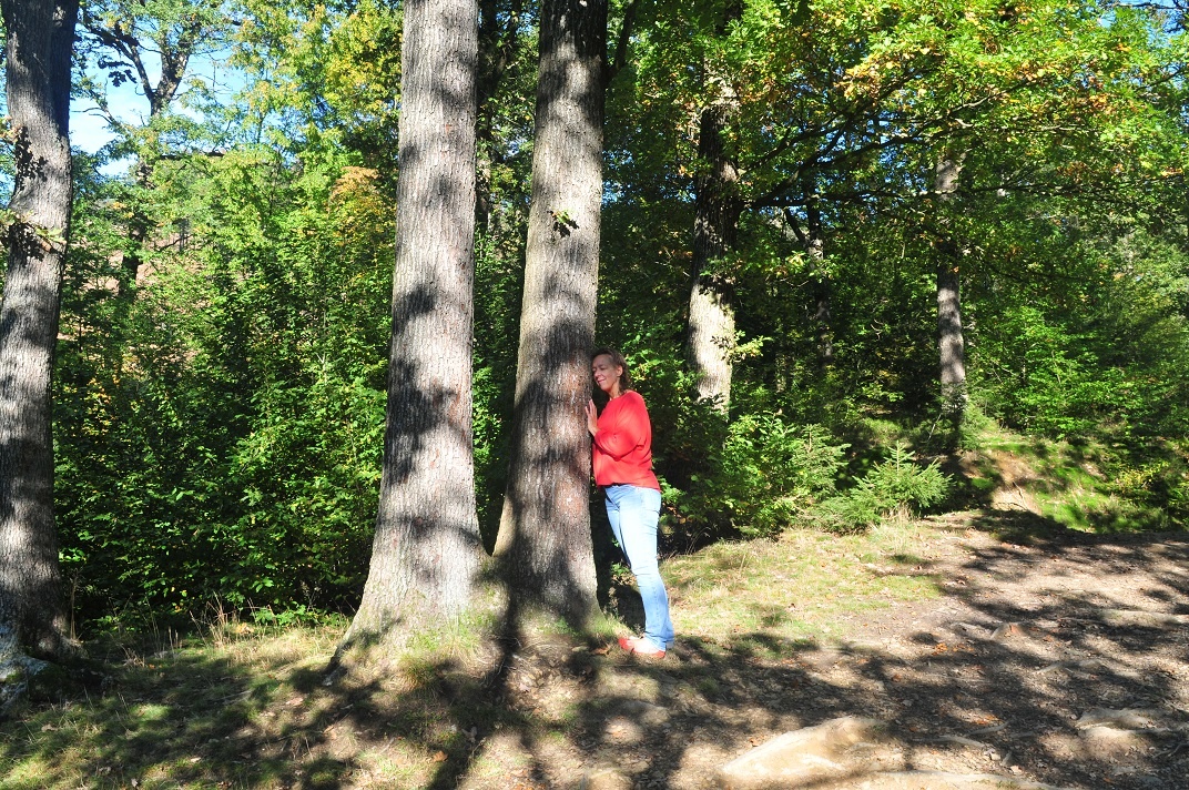 Entspannung pur beim Waldbaden Entspannung pur beim Waldbaden