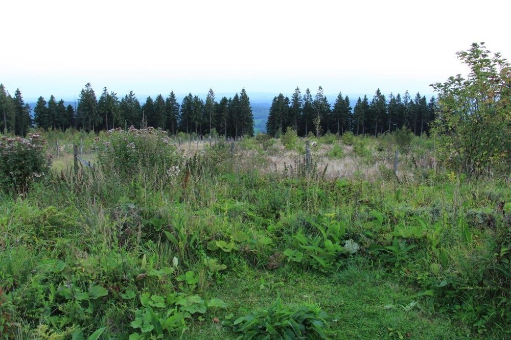 Panoramaausblick Nordhelle