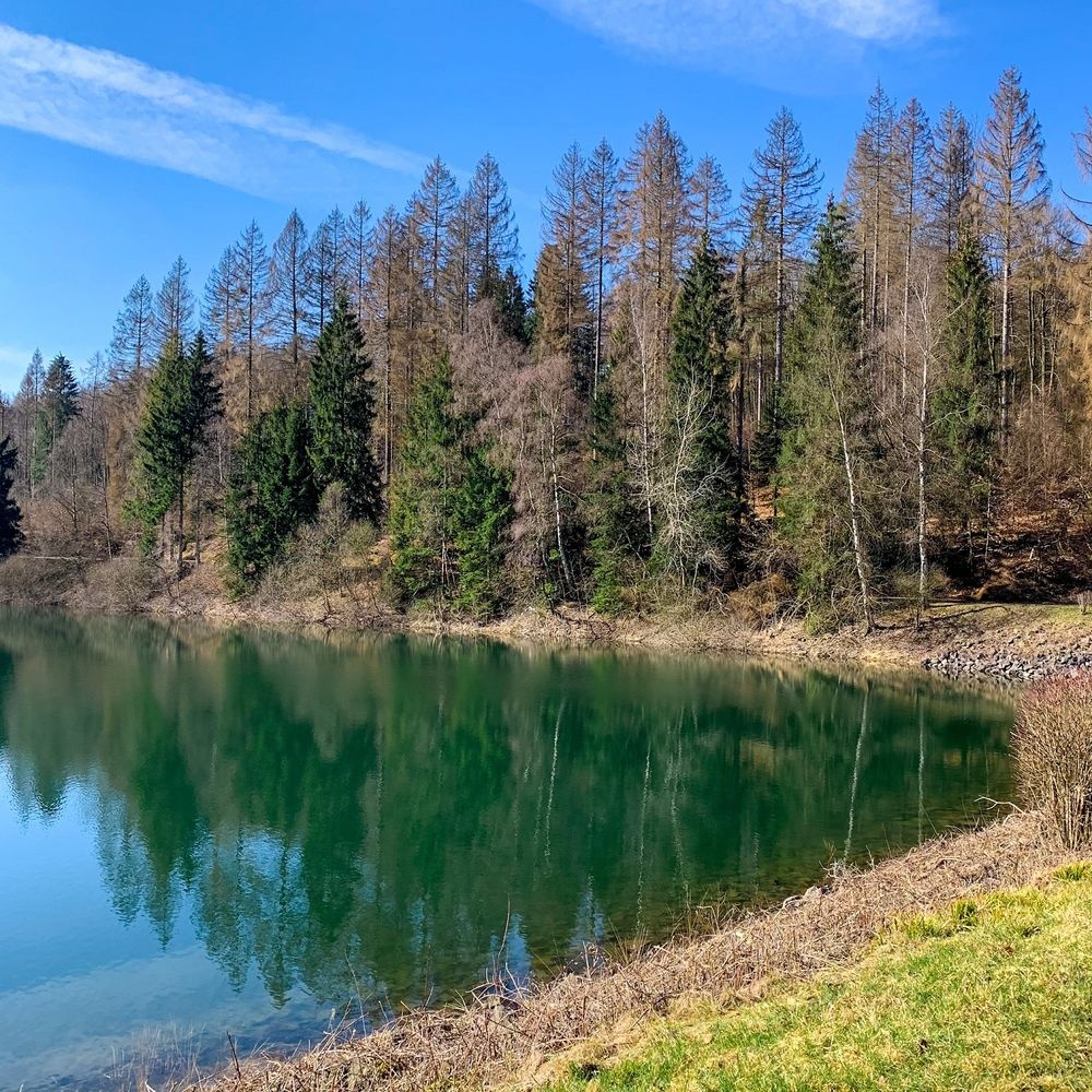 Das Ufer der Genkeltalsperre im Frühjahr Das Ufer der Genkeltalsperre im Frühjahr