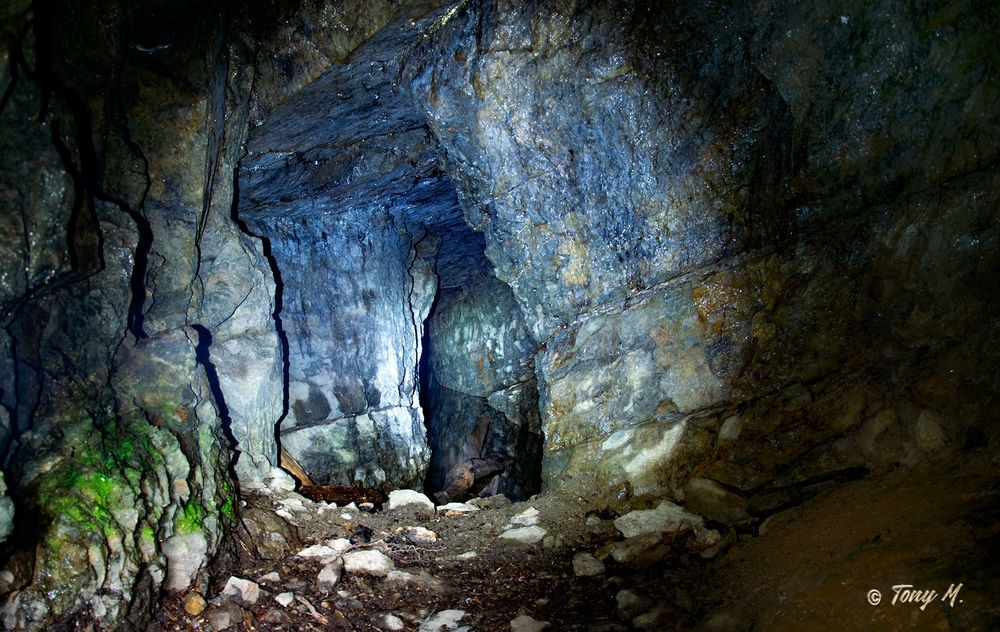 Naturschutzgebiet Bommecketal Naturschutzgebiet Bommecketal