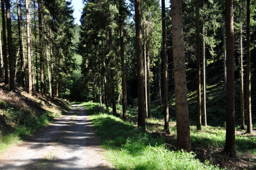 Naturschutzgebiet Bommecketal Naturschutzgebiet Bommecketal
