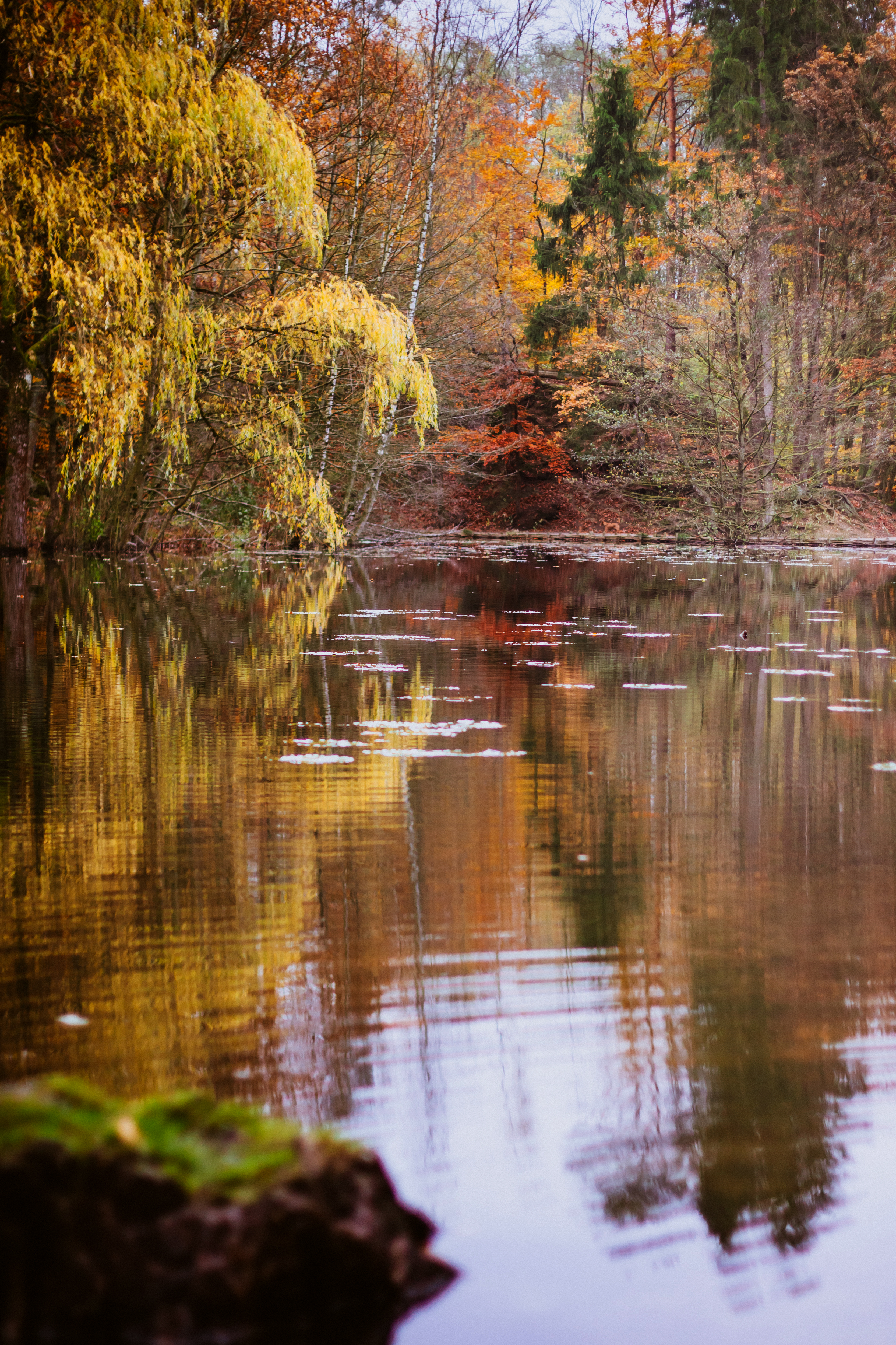 Hexenteich im Herbst