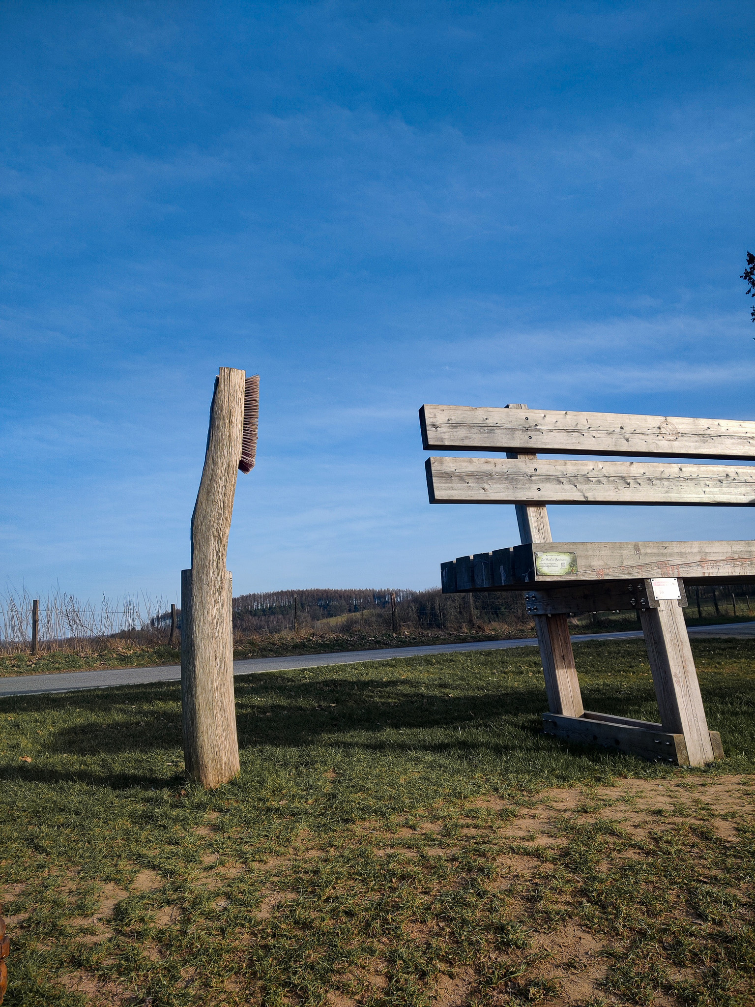 Scheuerpfahl Bürste