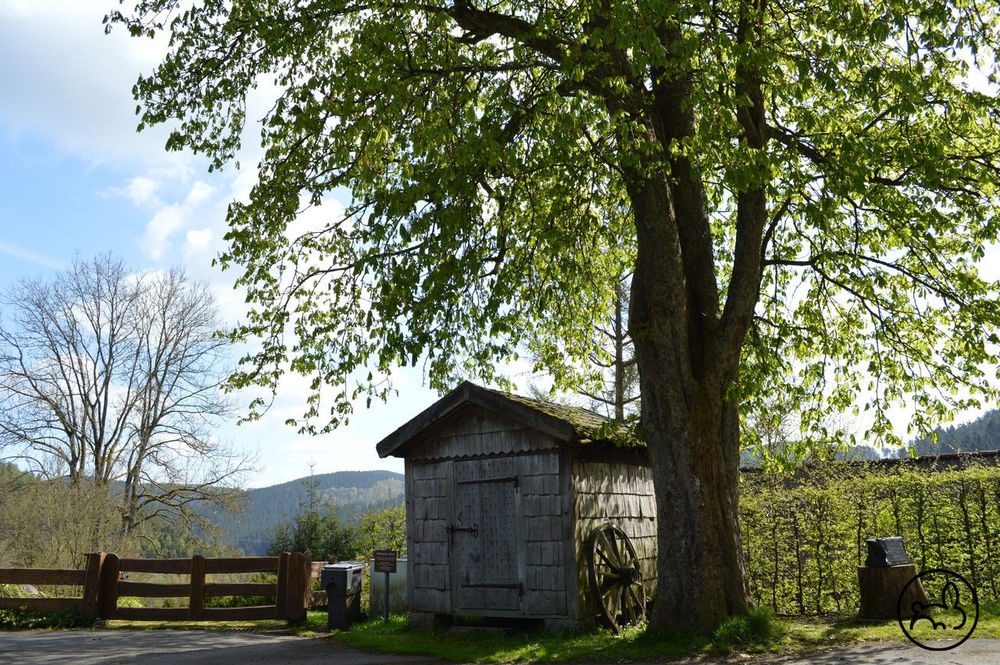 Haferkasten am Bauernhaus Wippekühl Haferkasten am Bauernhaus Wippekühl