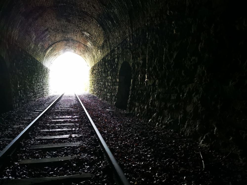 Ein ganz besonderes Highlight: Die Tunneldurchfahr Ein ganz besonderes Highlight: Die Tunneldurchfahr