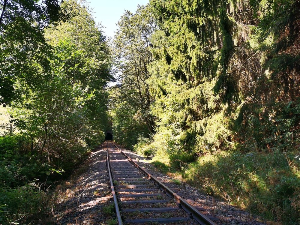 Idlyllische Streckenführung mitten durch die Natur Idlyllische Streckenführung mitten durch die Natur