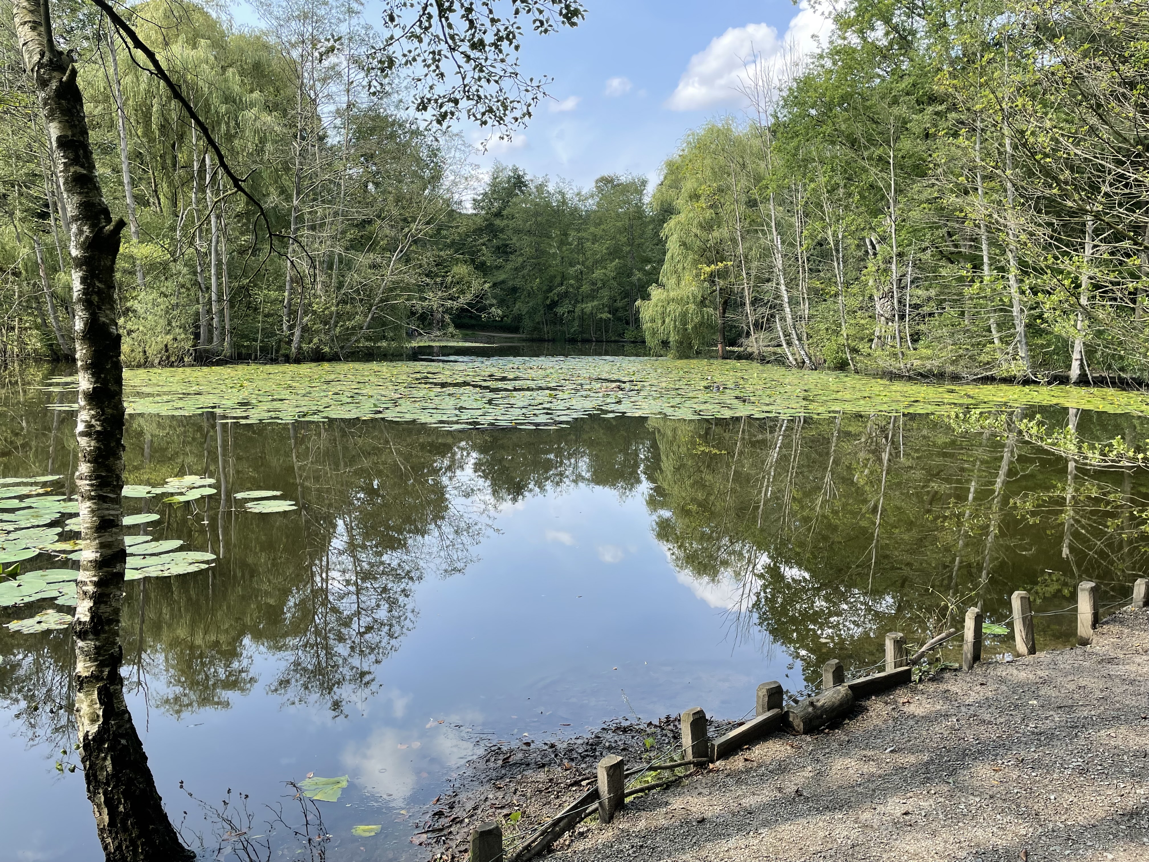 Blick auf Hexenteich Blick auf Hexenteich