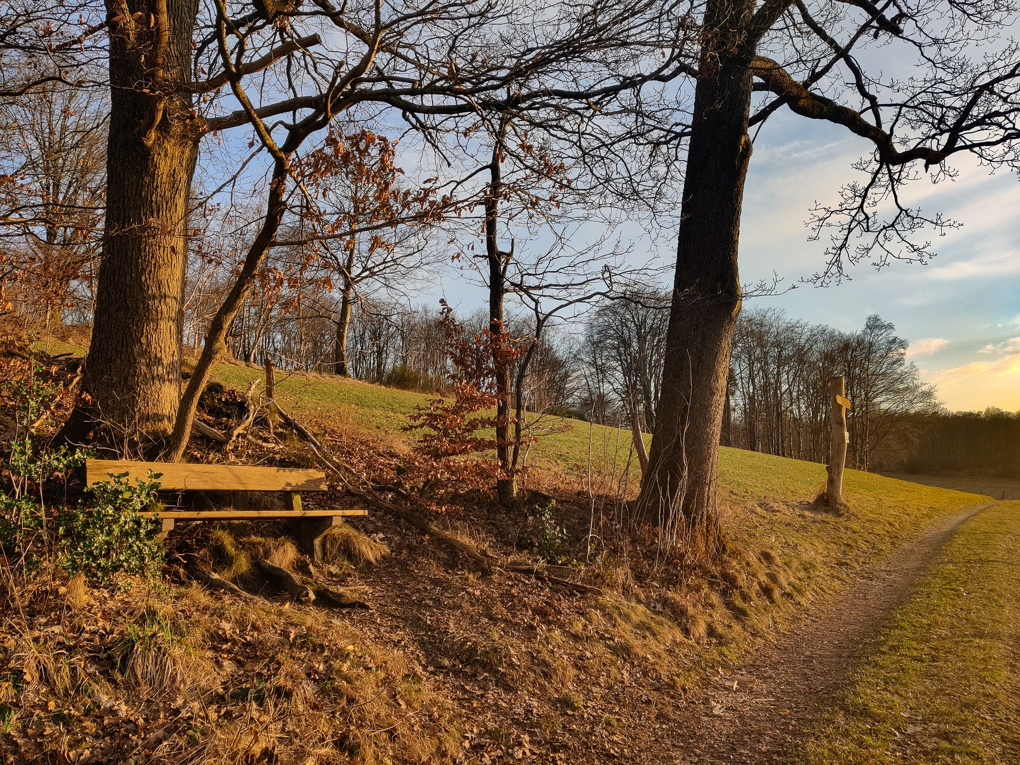Scheuerpfahl Wegweiser