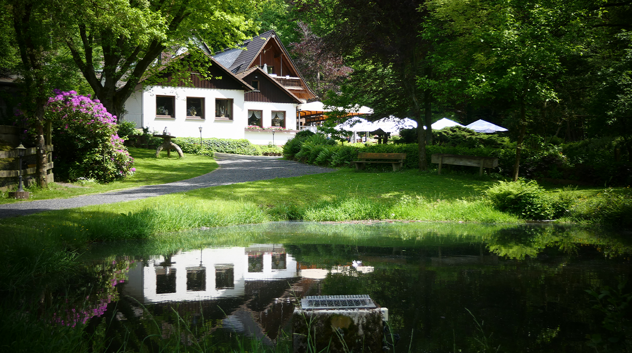 Jagdhaus Im Kühl Teichanlagen im Sommer