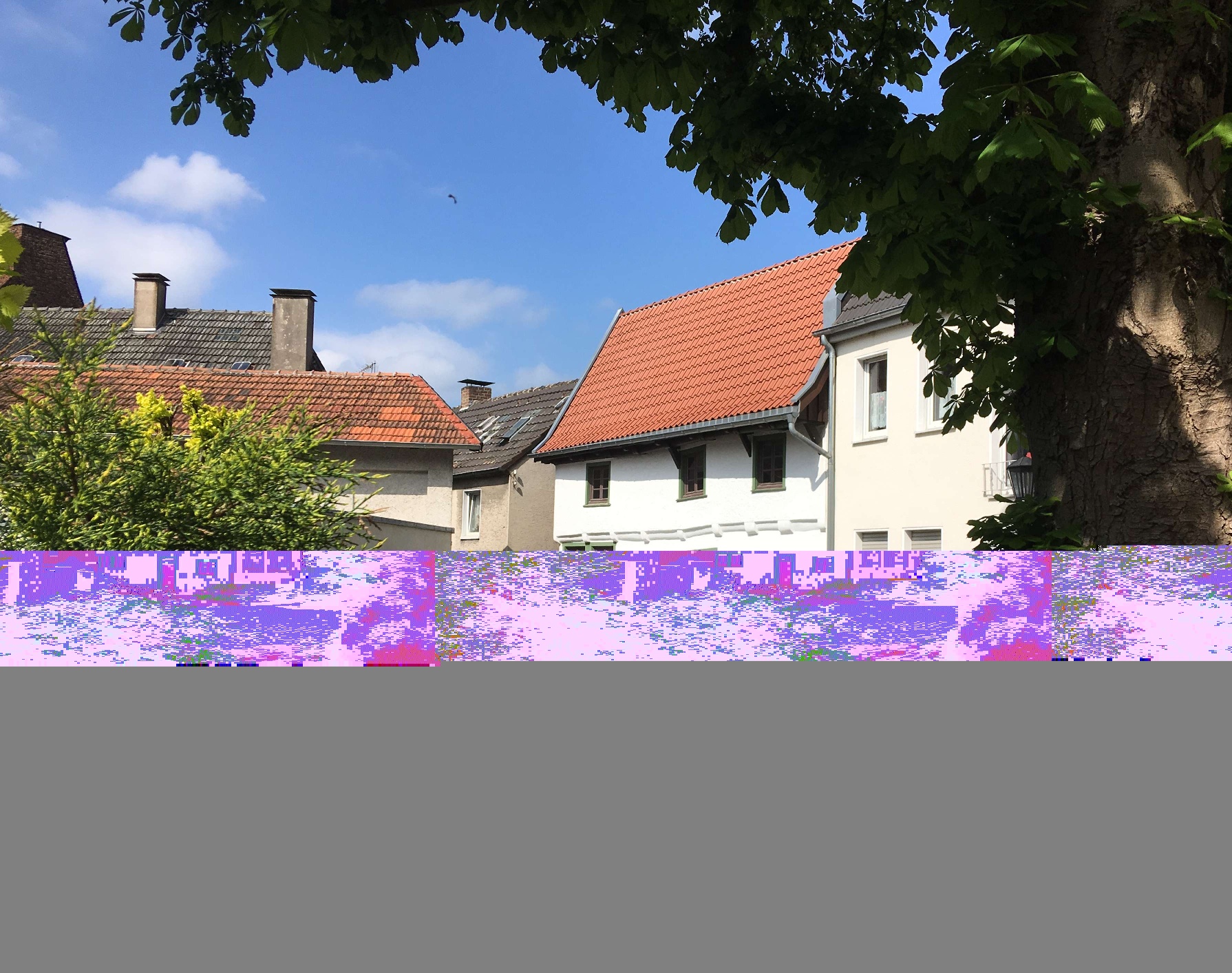 Schmarotzerhaus Schmarotzerhaus