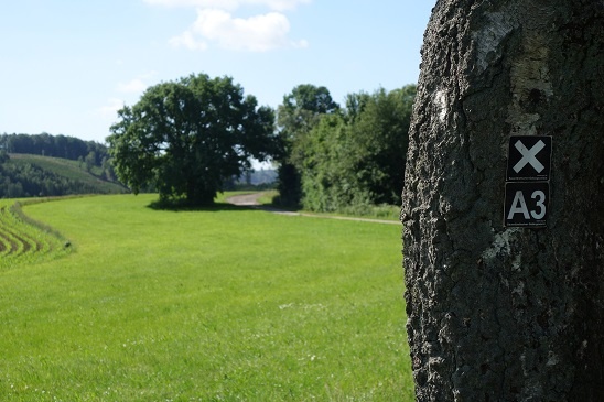Der Wanderweg bei dem Sagenort Der Wanderweg bei dem Sagenort