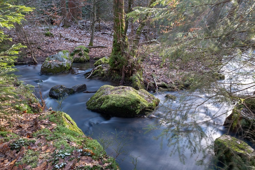 Die wilde Ennepe im Naturschutzgebiet Die wilde Ennepe im Naturschutzgebiet