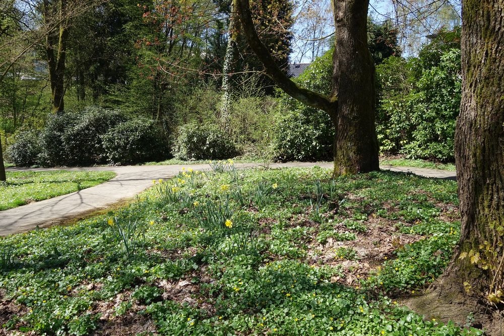 Der Frühling bringt die eine oder andere Blütenpra Der Frühling bringt die eine oder andere Blütenpra