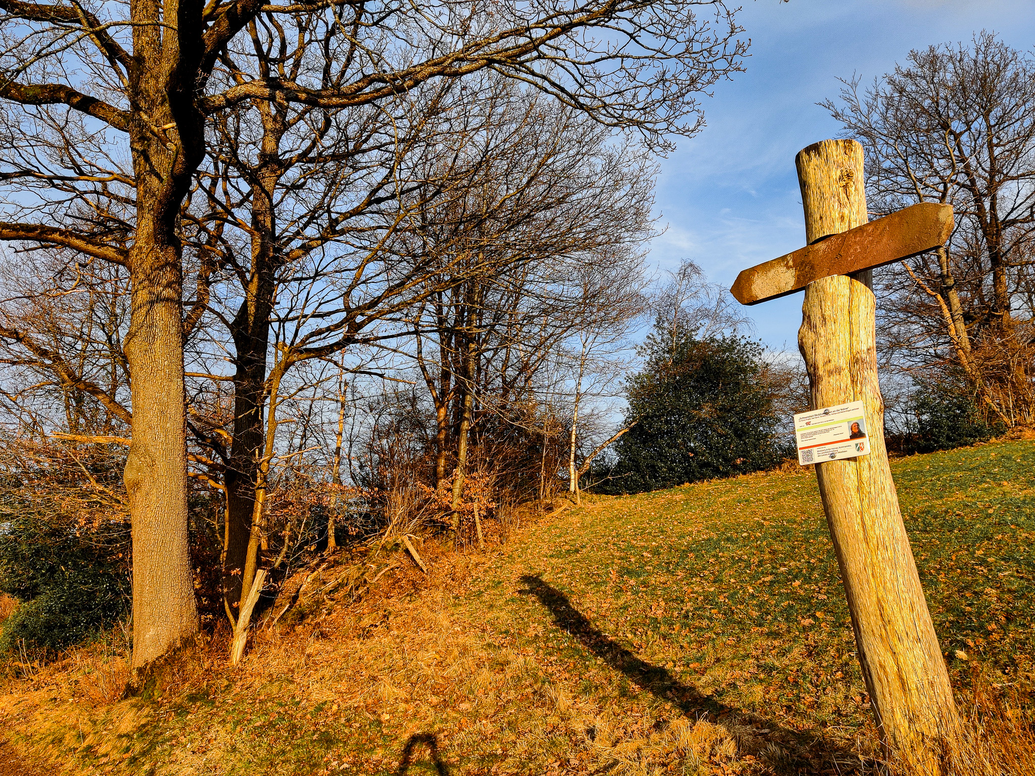Scheuerpfahl Wegweiser