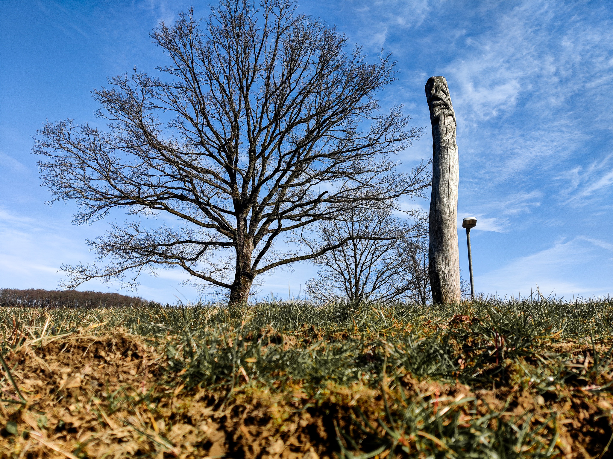 Scheuerpfahl Wurzeln und Erosionen