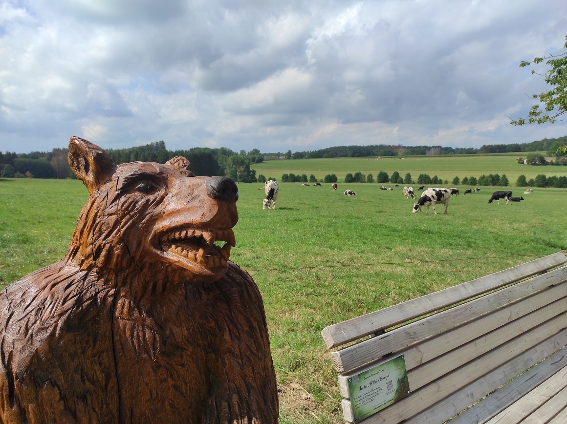 Nahaufnahme des sagenhaften Werwolfs Nahaufnahme des sagenhaften Werwolfs