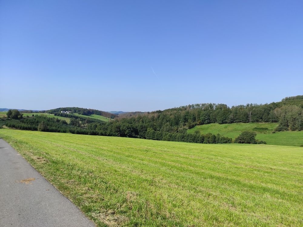 Aussicht von der Bank I Aussicht von der Bank I