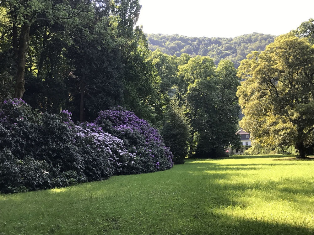 Park Park