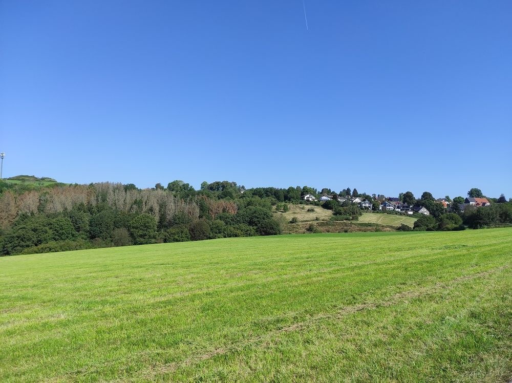 Aussicht von der Bank II Aussicht von der Bank II