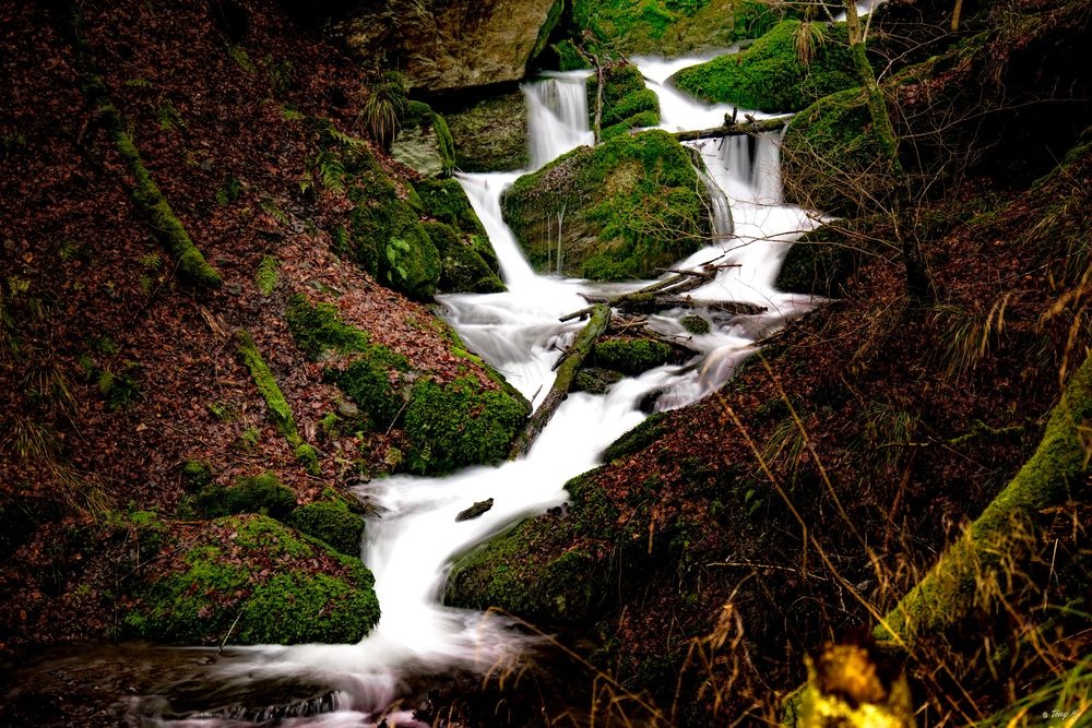 Naturschutzgebiet Bommecketal Naturschutzgebiet Bommecketal