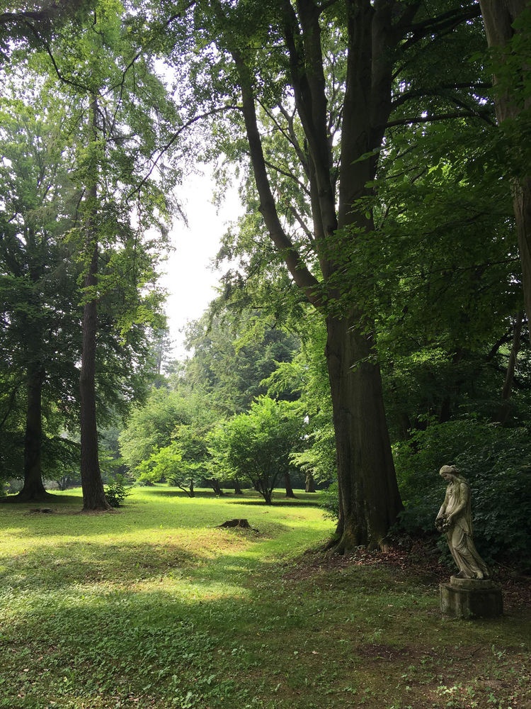 Park Gut Rödinghausen Park Gut Rödinghausen