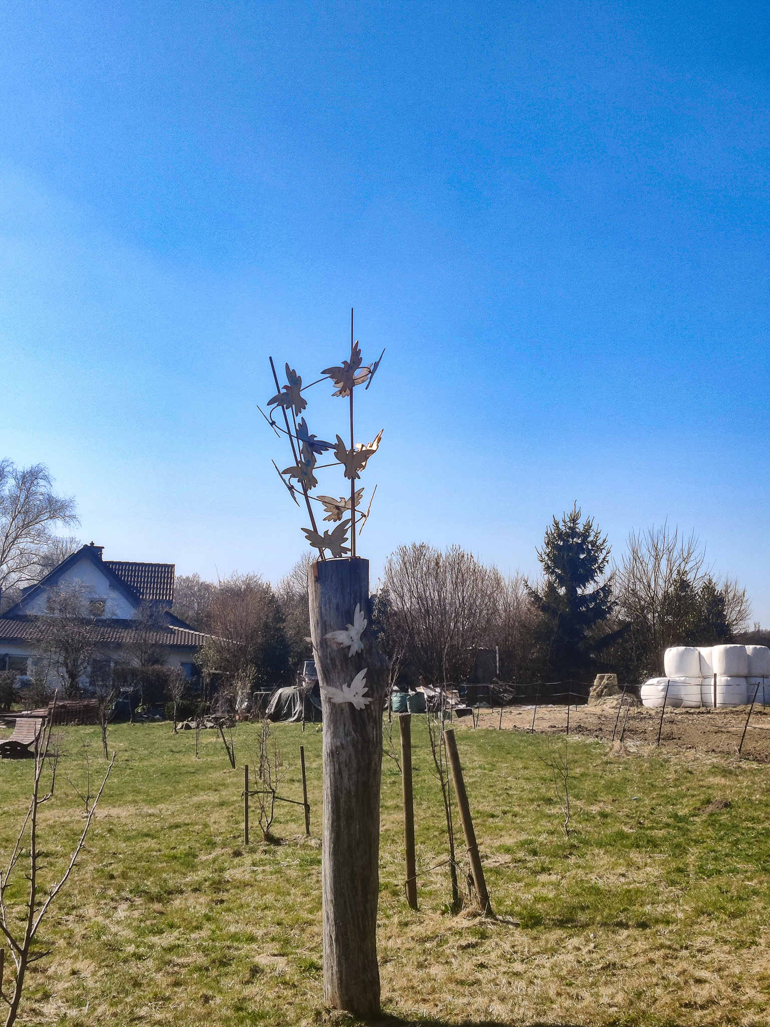 Scheuerpfahl Tauben Scheuerpfahl Tauben