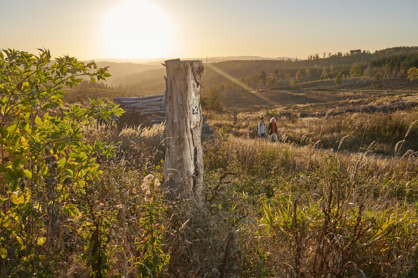 Sonnenuntergang auf dem Ochsenkopf zwischen Sundern und Arnsberg