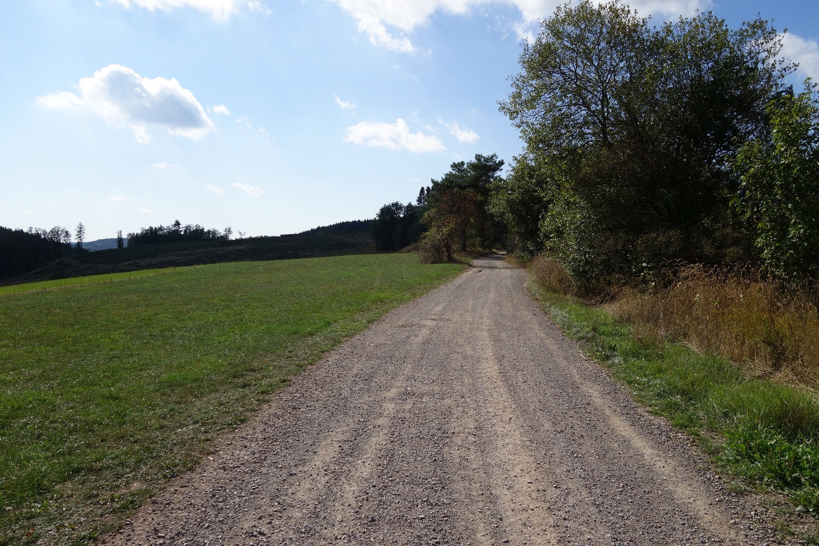 Wegeverlauf kurz nach dem Start Wegeverlauf kurz nach dem Start