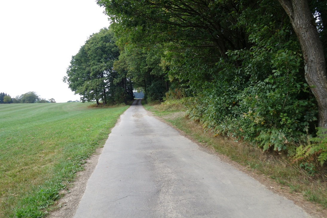 Der asphaltierte Wegeverlauf auf der Anhöhe Der asphaltierte Wegeverlauf auf der Anhöhe
