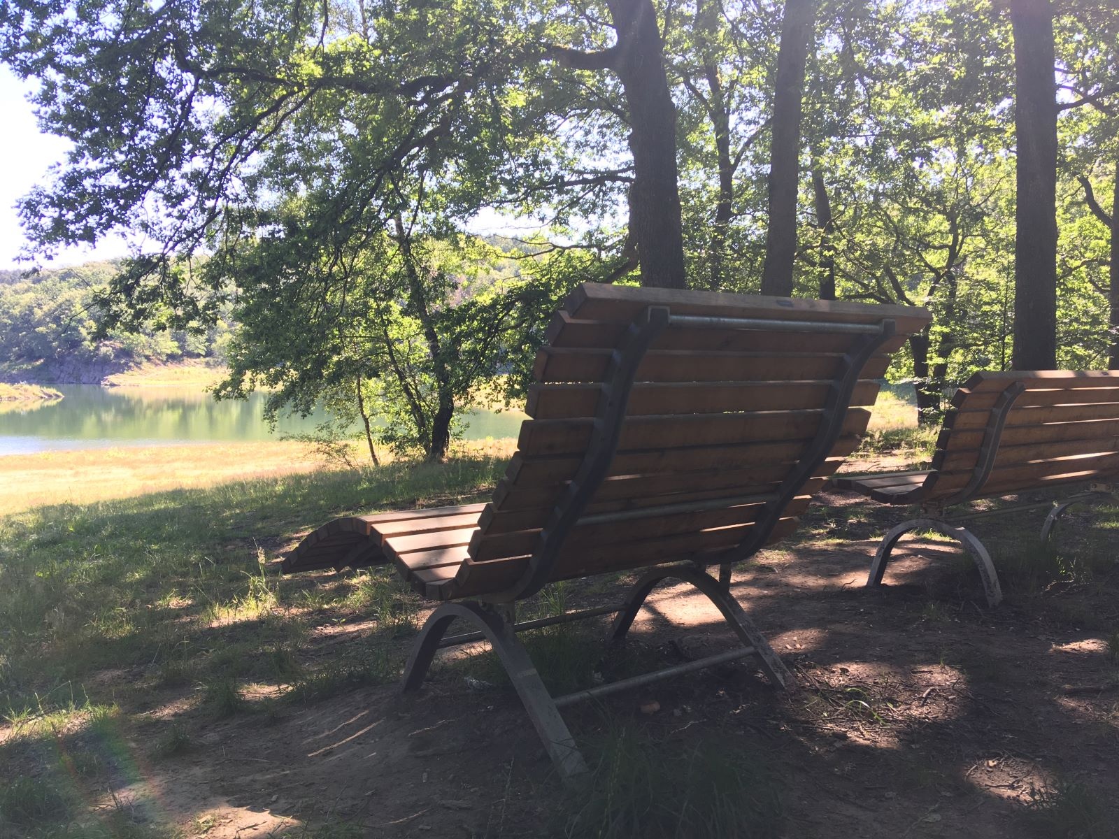 Waldsofas laden zur Erholung ein Waldsofas laden zur Erholung ein