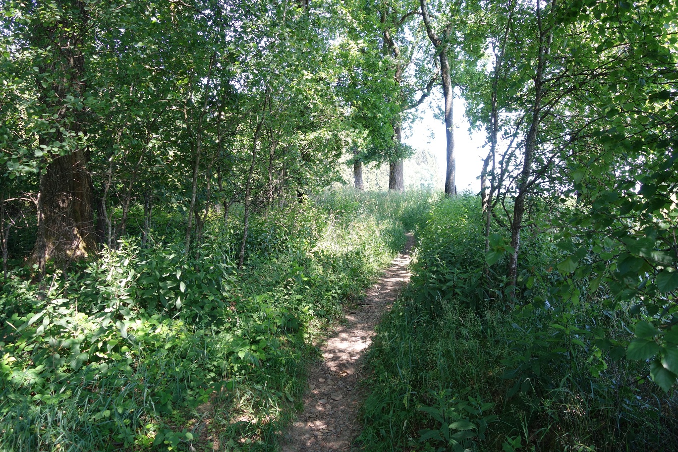 Schmalen Pfade sorgen für eine erlebnisreiche Kurzwanderung