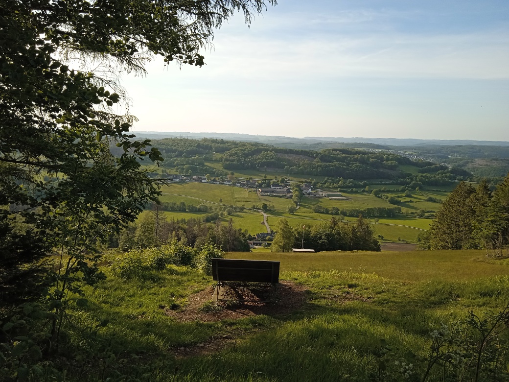 Waldsofa mit traumhaften Panoramaausblick