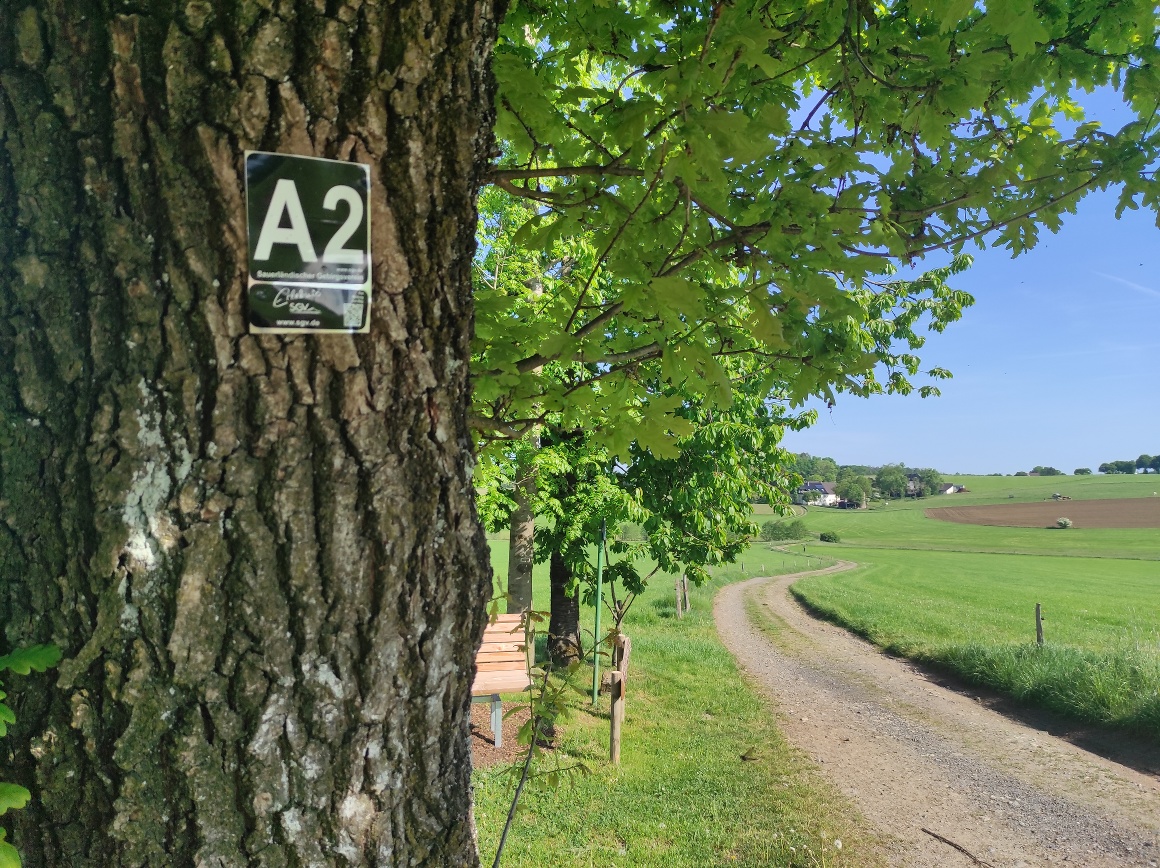 Wanderwegmarkierung Wanderwegmarkierung