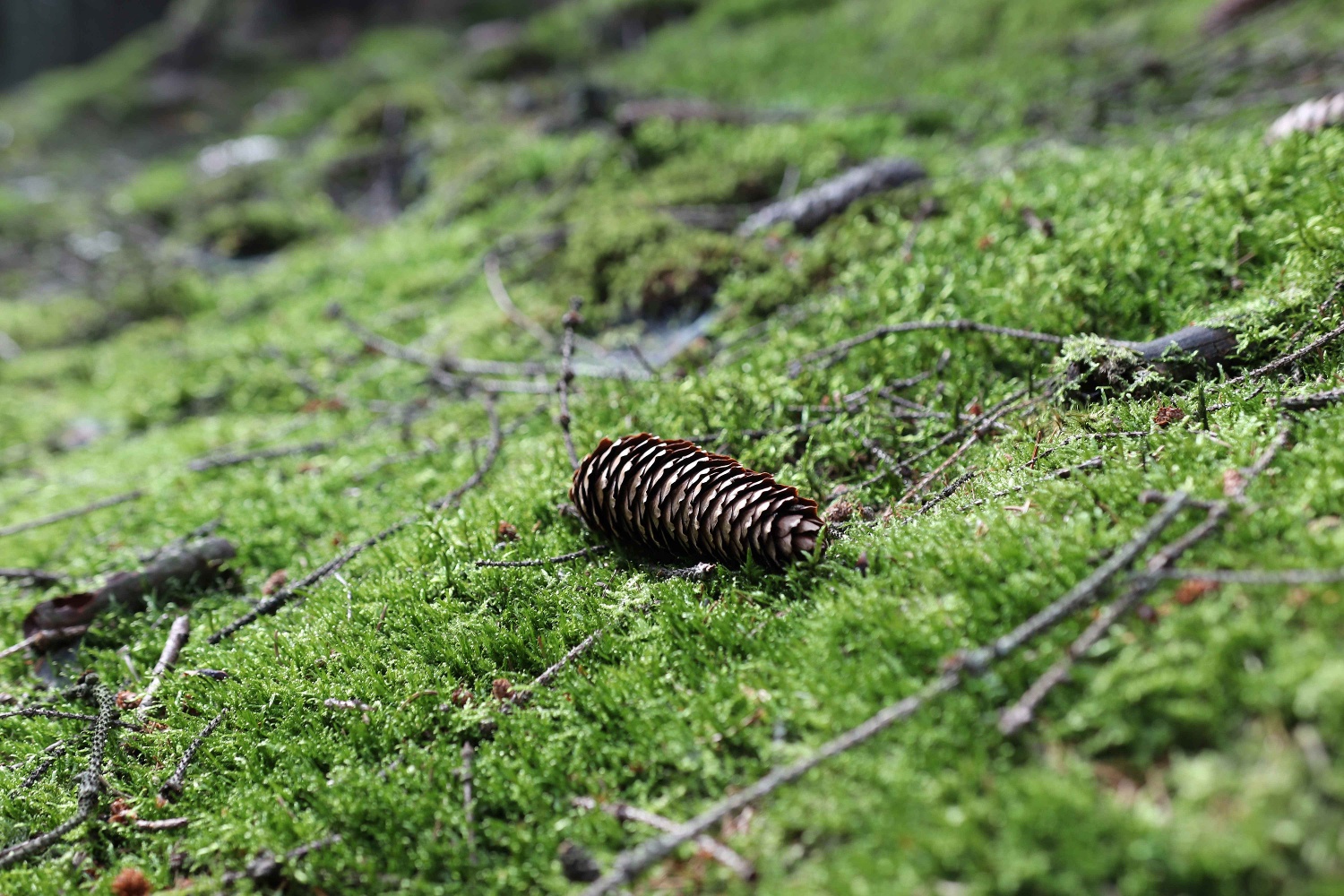Valberter Rundweg Valberter Rundweg