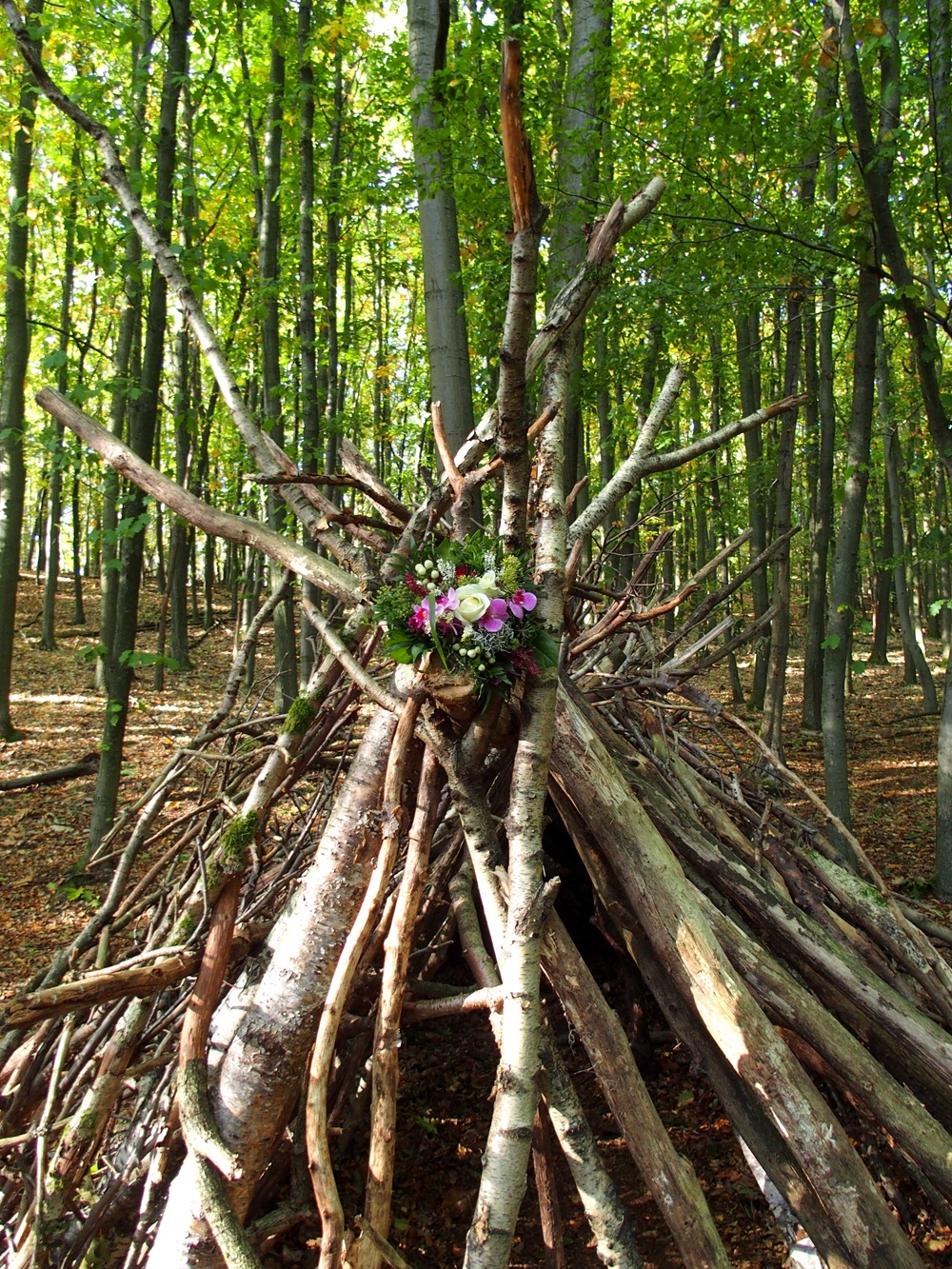 Wald-Tipi Wald-Tipi
