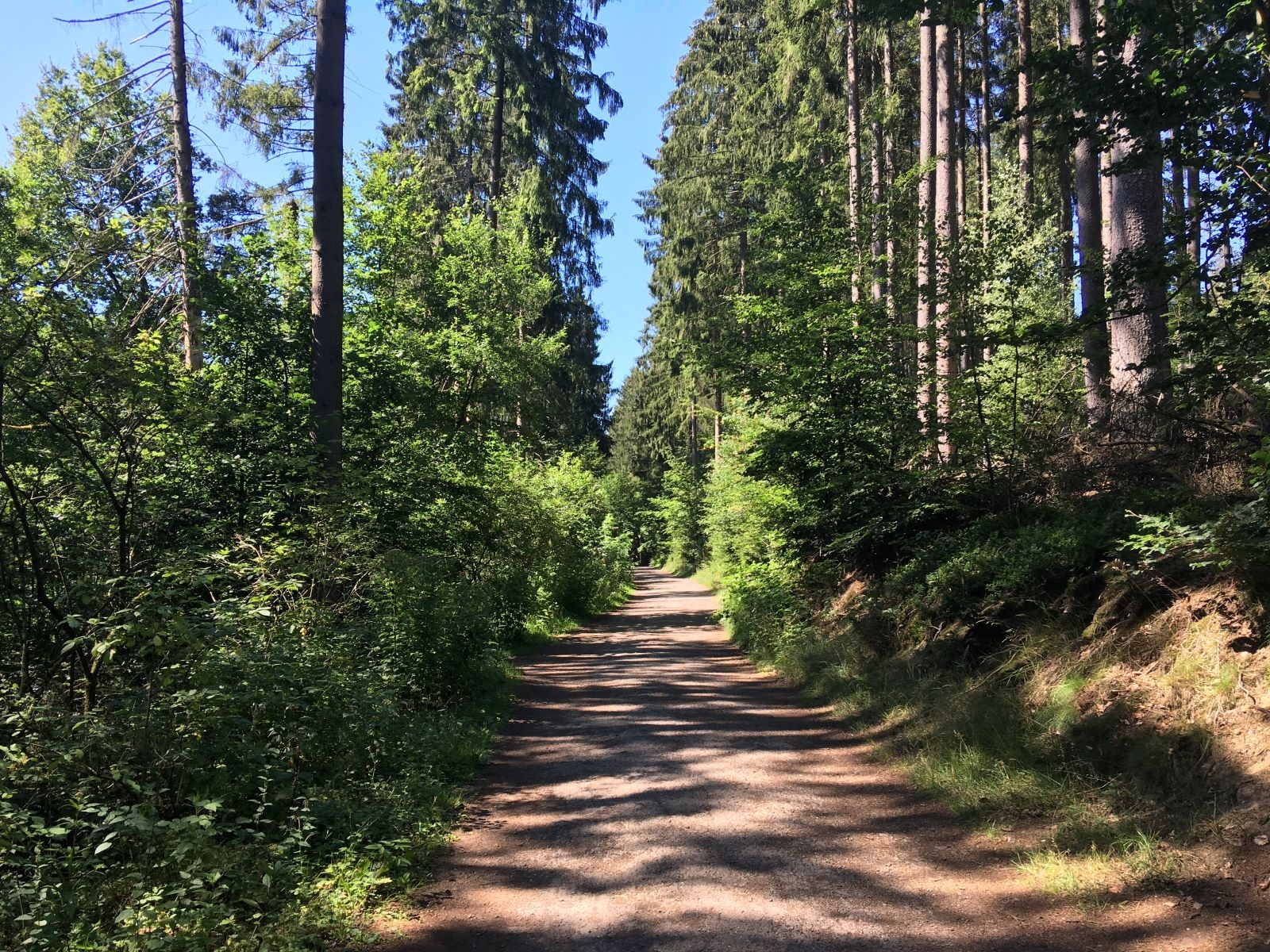 Rundweg um die Glörtalsperre Rundweg um die Glörtalsperre