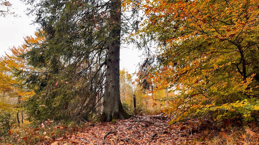 Der Sauerland-Höhenflug im Herbst Der Sauerland-Höhenflug im Herbst