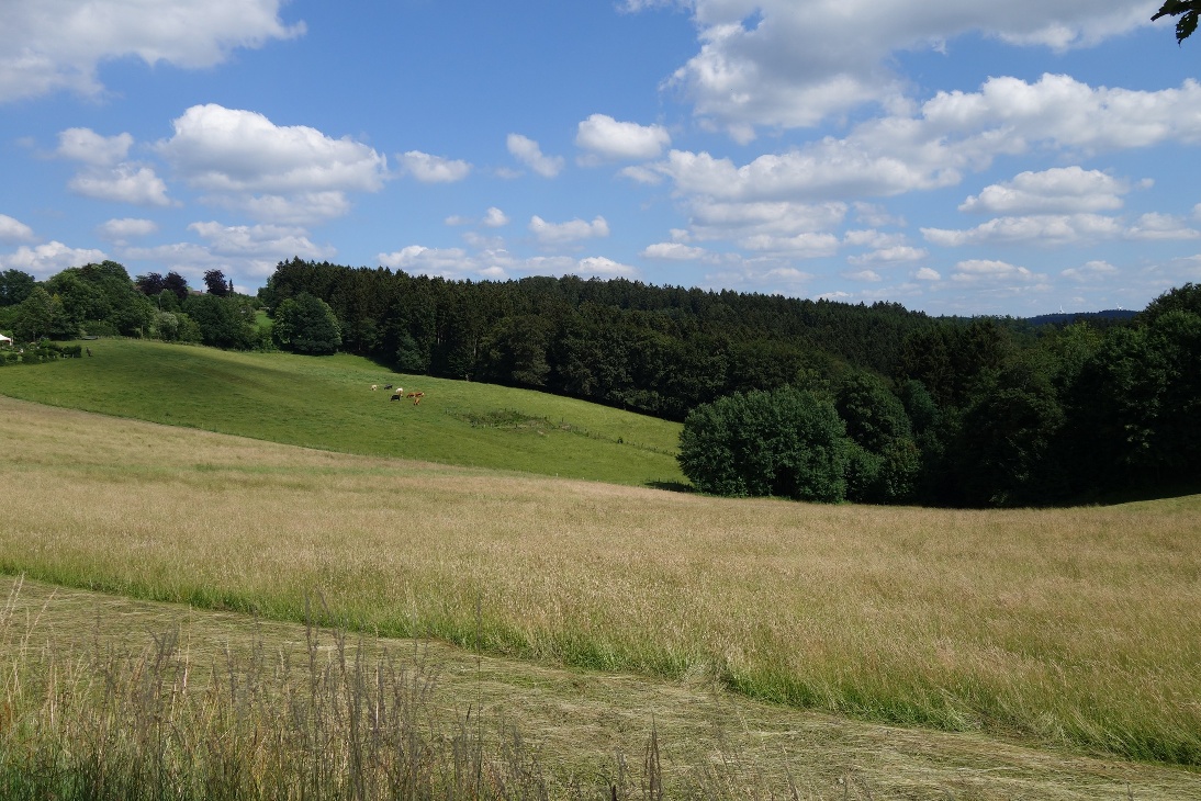 Aussicht über die Butmicke