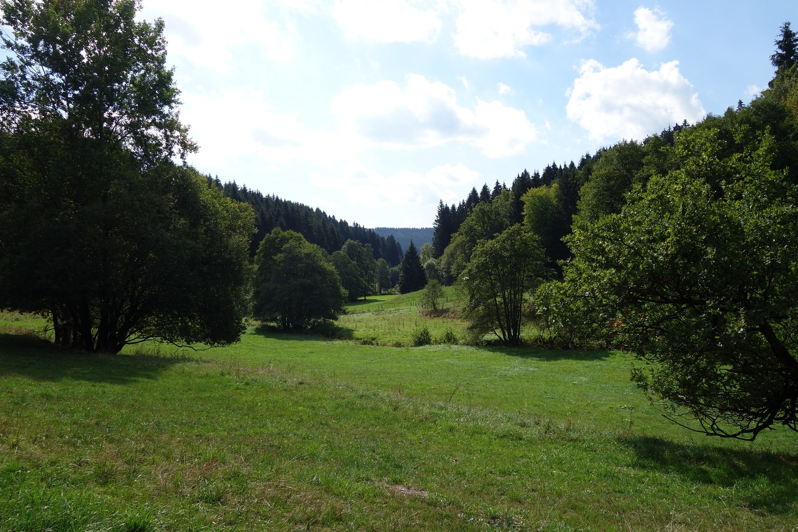 Durchquerung des kleinen Naturschutzgebietes Heimchetal Durchquerung des kleinen Naturschutzgebietes Heimchetal