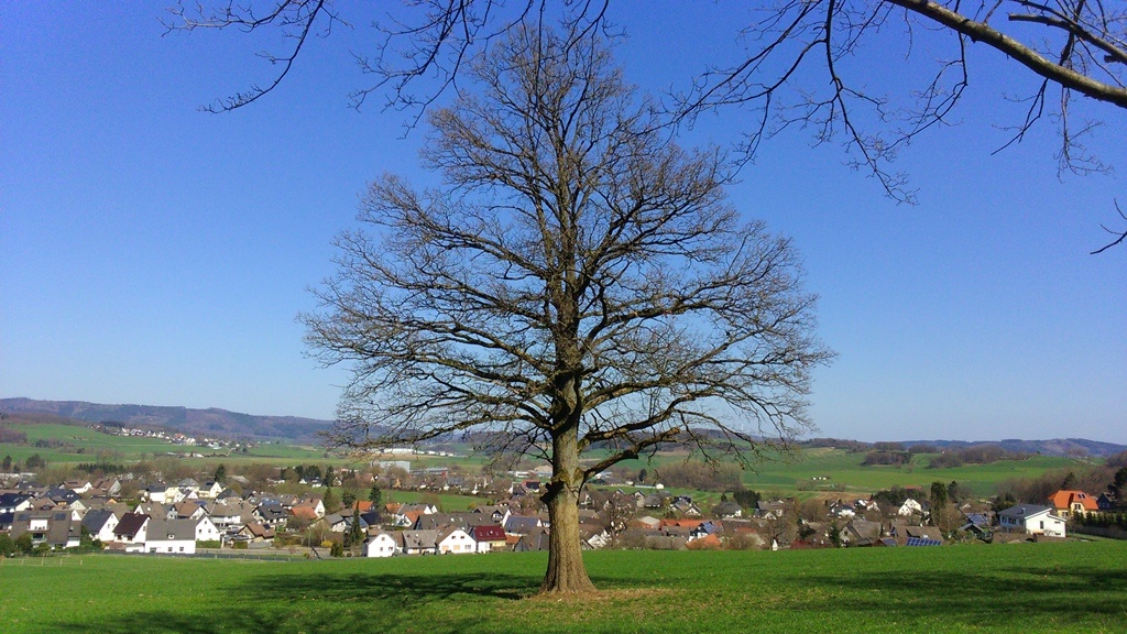 Aussicht vom Wellenberg auf Neuenrade-Kuentrop Aussicht vom Wellenberg auf Neuenrade-Kuentrop