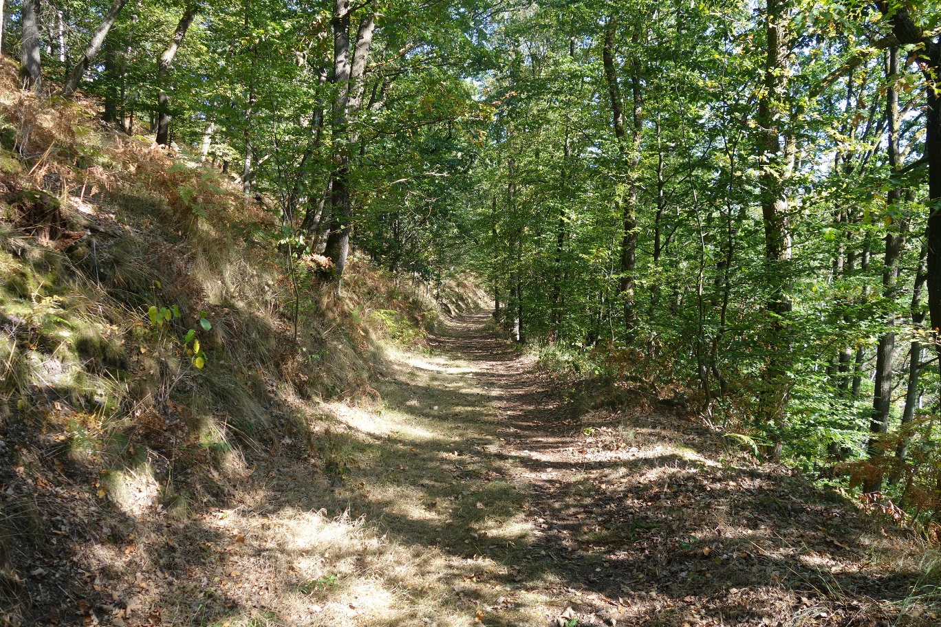 Hinein in das Naturschutzgebiet Notkleff Hinein in das Naturschutzgebiet Notkleff