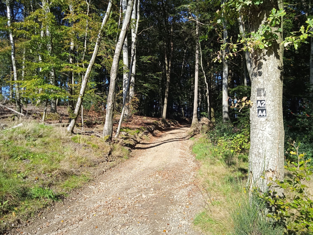Wanderwegabschnitt VolmeSchatz Sagen auf dem Arney bei Kierspe Wanderwegabschnitt VolmeSchatz Sagen auf dem Arney bei Kierspe
