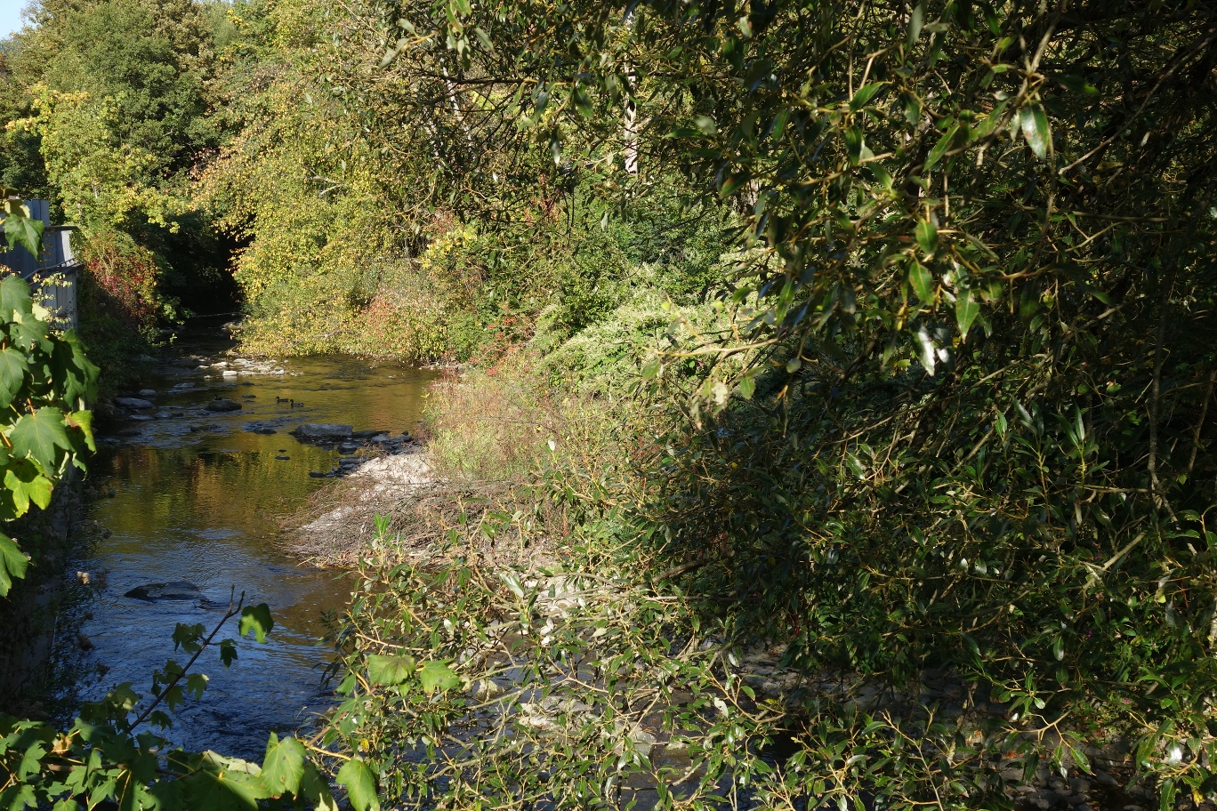 Die Volme in Dahlerbrück Die Volme in Dahlerbrück