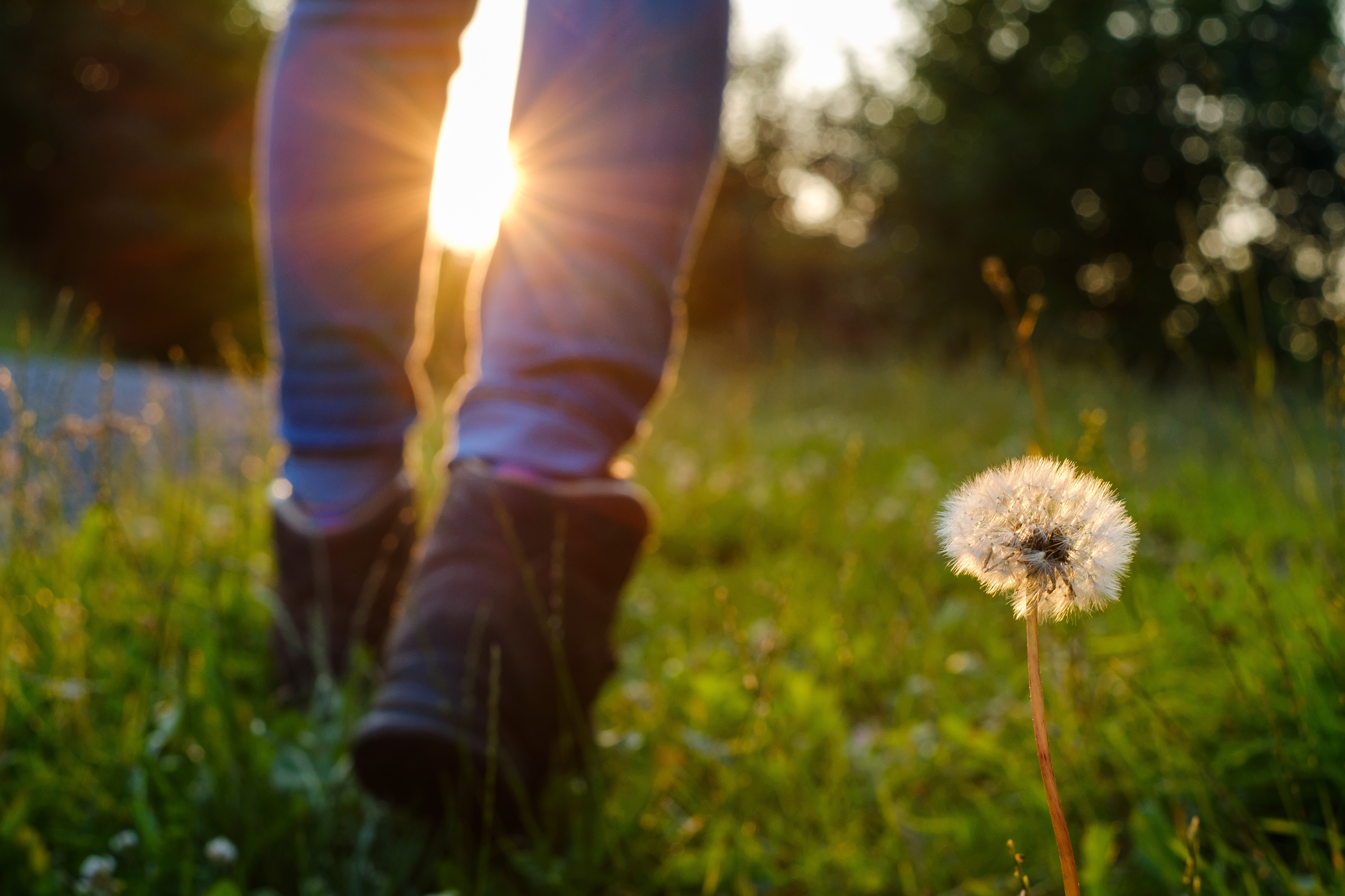 Sauerland-Hoehenflug 