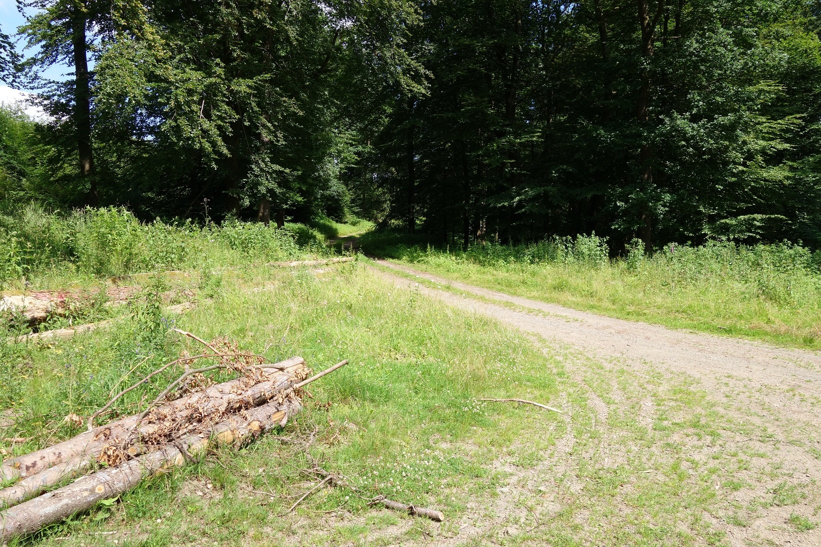 Auch breite Schotterwege prägen das Bild des Rundwanderweges