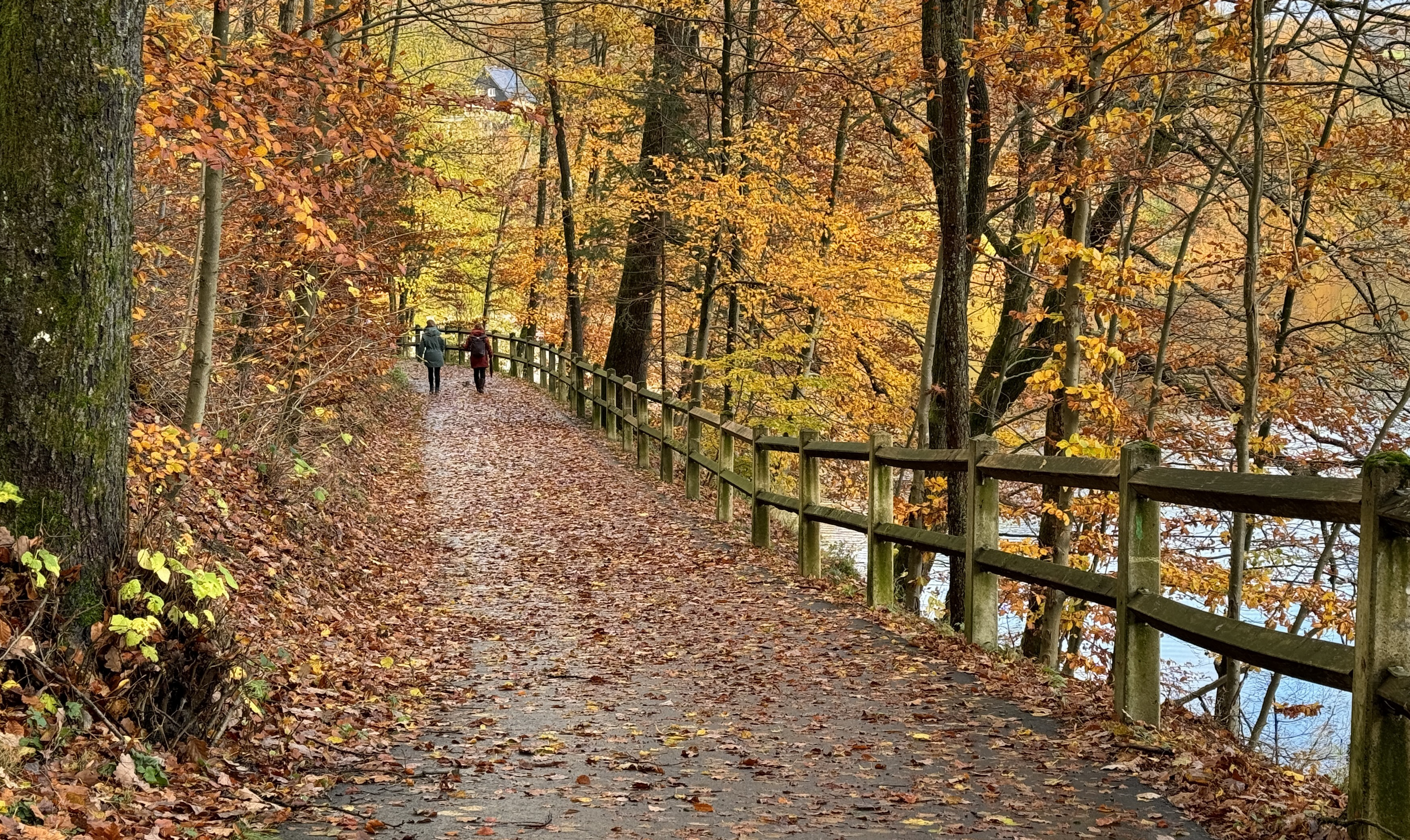 20231115_Fürwigge (11).jpg