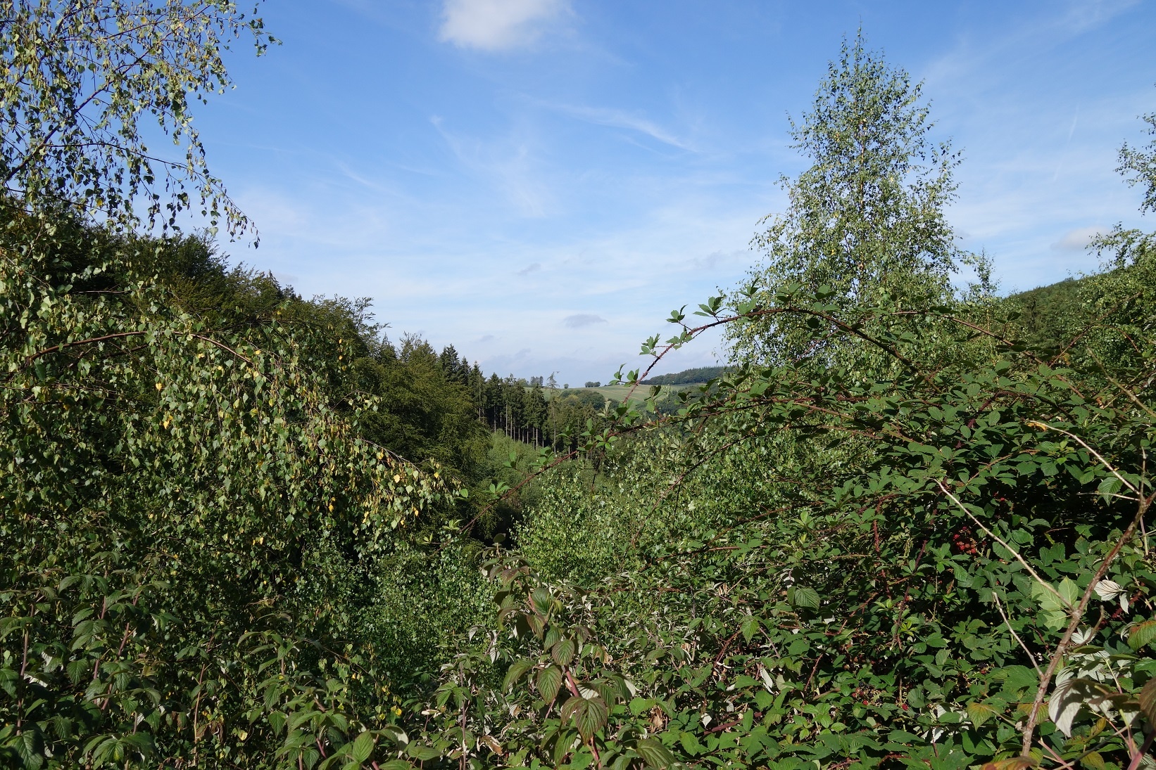 Ausblicke von Kamp in Richtung Everinghausen Ausblicke von Kamp in Richtung Everinghausen