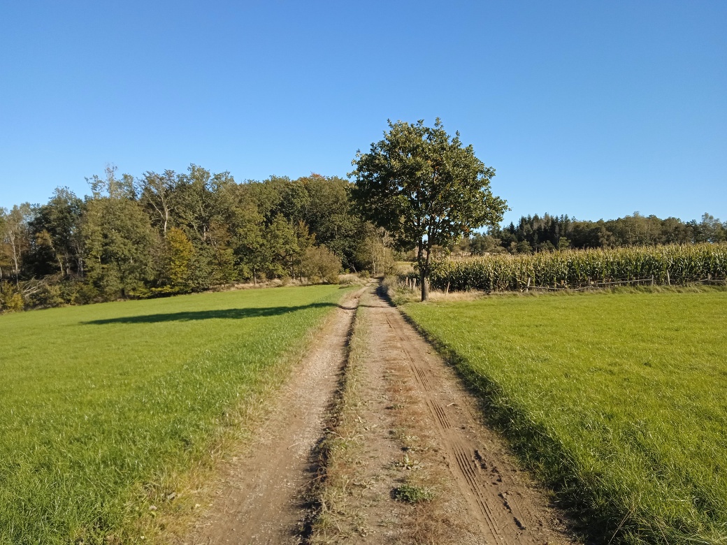 Wanderwegabschnitt VolmeSchatz Sagen auf dem Arney bei Kierspe Wanderwegabschnitt VolmeSchatz Sagen auf dem Arney bei Kierspe