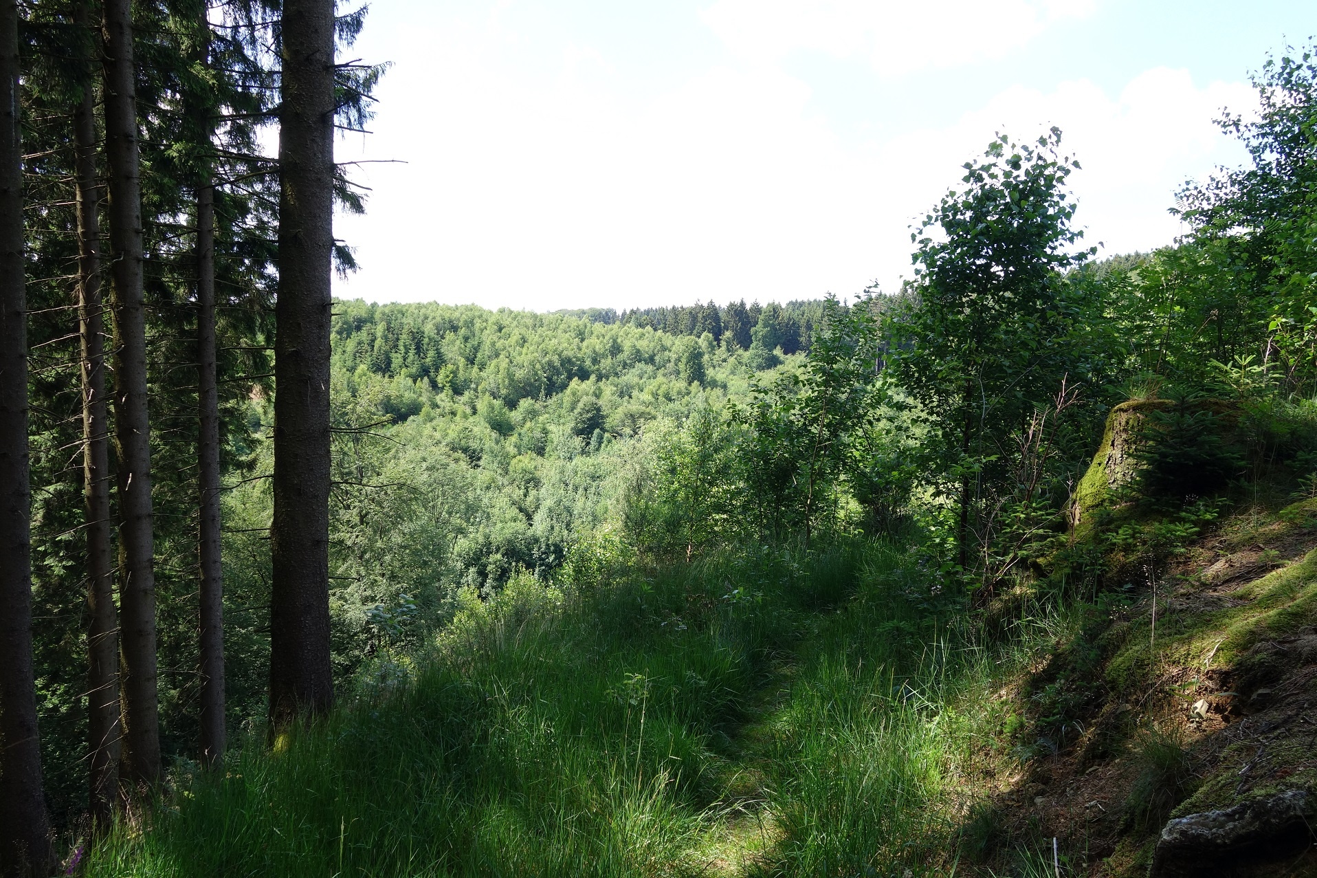 Wandern entlang der Berghänge mit tollen Aussichten