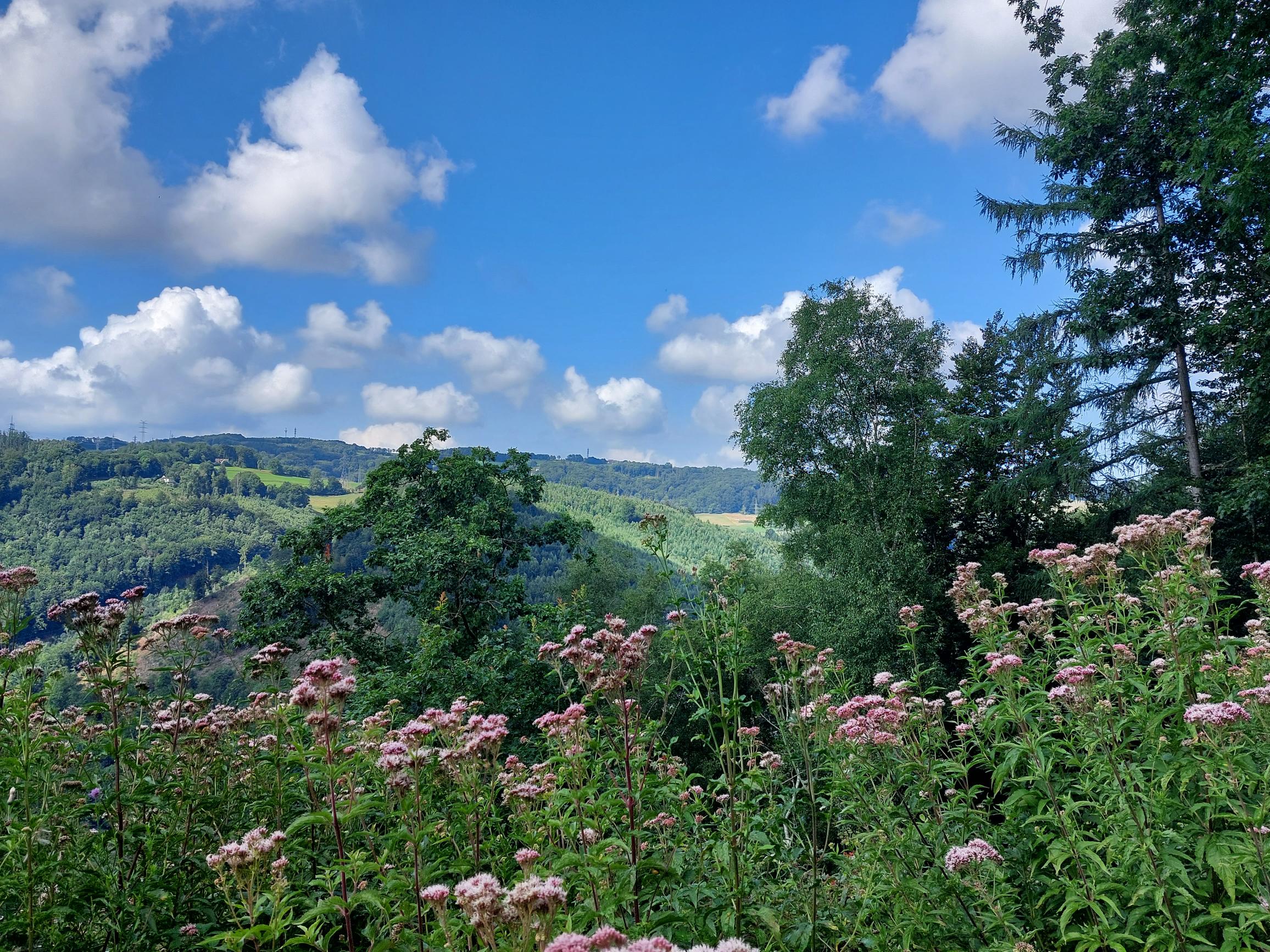 Blick über das Lennetal Blick über das Lennetal